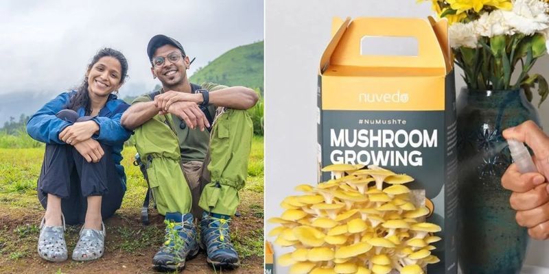 ஆண்டுக்கு ரூ.50 லட்சம் - முடக்கக் காலத்தில் முளைத்த காளான் பிசினஸில் அசத்தும் தம்பதியர்!