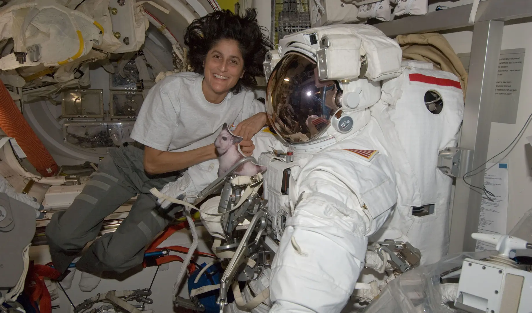 Sunita Williams returns: பத்திரமாக பூமி திரும்பிய வீரர்கள் - விண்வெளியில் சுனிதா வில்லியம்ஸ் செய்த சாதனைகள் என்னென்ன?