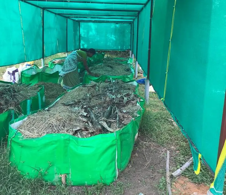vermicompost