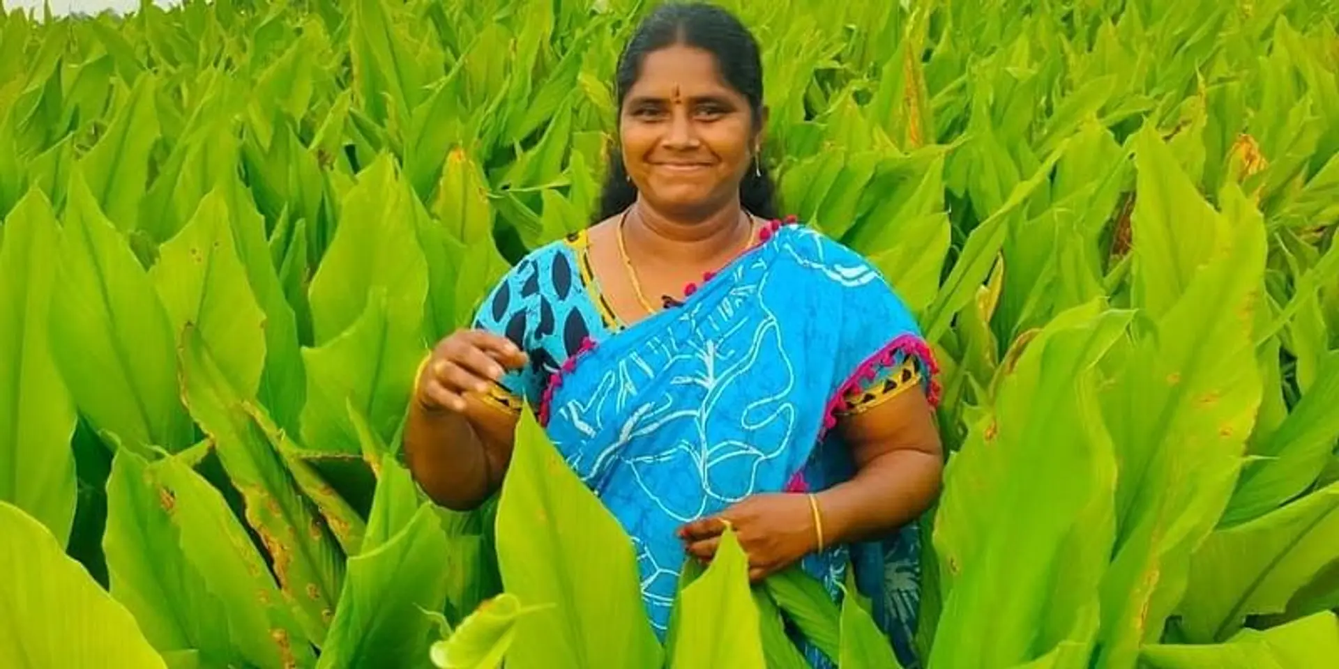 20 வயதில் விதவை; விடாமல் விரட்டிய வறுமை: இயற்கை விவசாயத்தில் உஷாராணி வென்றது எப்படி?