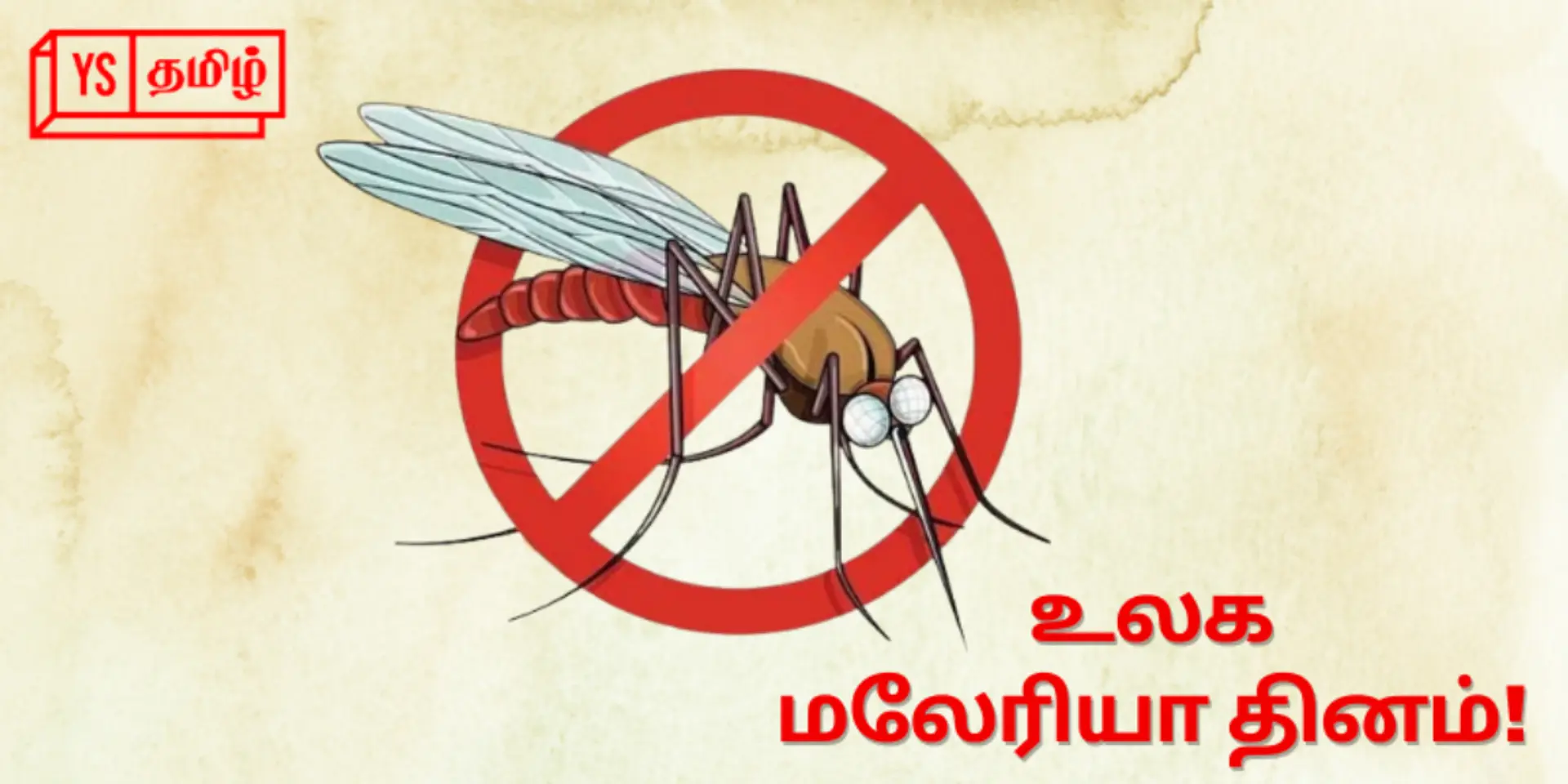 World Malaria Day - மலேரியா நோய் வராமல் தடுக்க டாக்டர் கூறும் ஆலோசனைகள்!