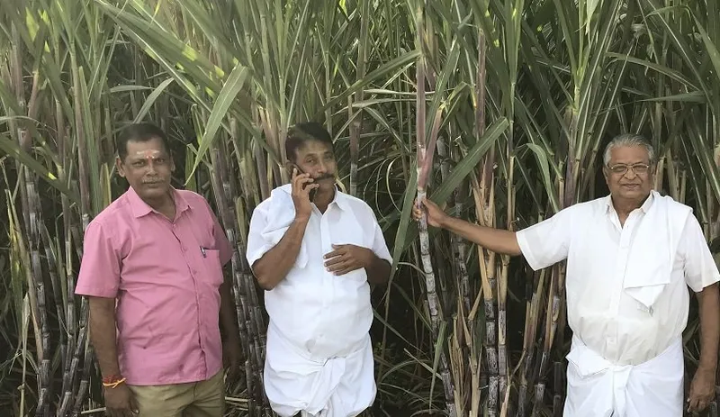 maanikam