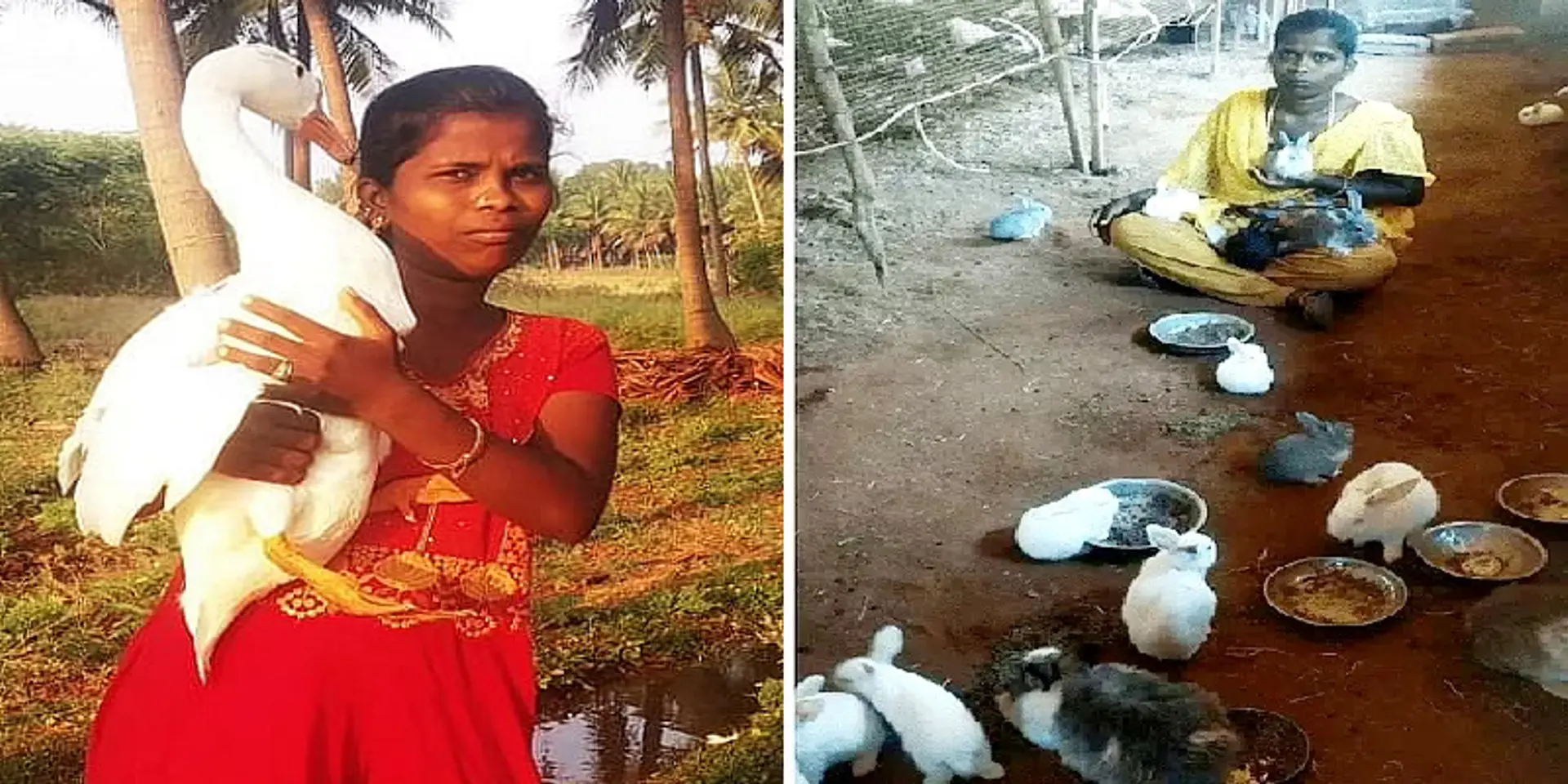 வரதட்சணை கொடுமை; மகன் இதயத்தில் ஓட்டை; பணமோசடி; துயரங்களைத் துரத்திய முயல் வளர்ப்பு!