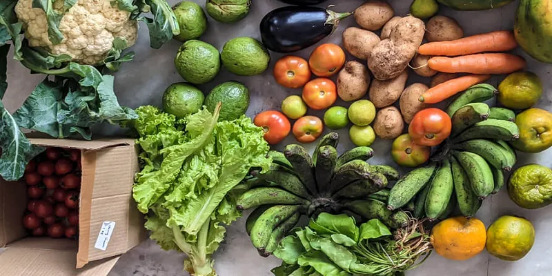 Organic vegetables