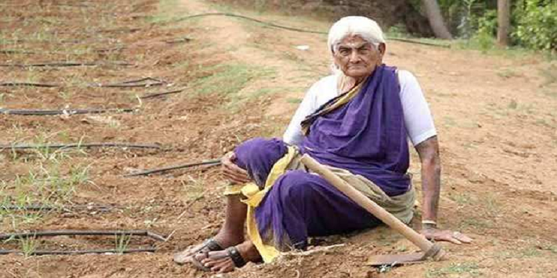 மளிகைக் கடை டூ விவசாயம்; 105 வயதிலும் வயலில் வேலை: பத்மஸ்ரீ விருது பெறும் கோவை பாப்பம்மாள் பாட்டி!
