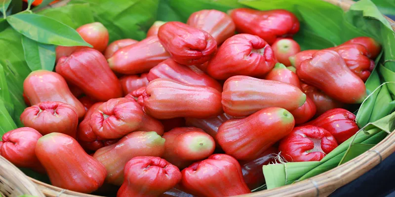 water apple