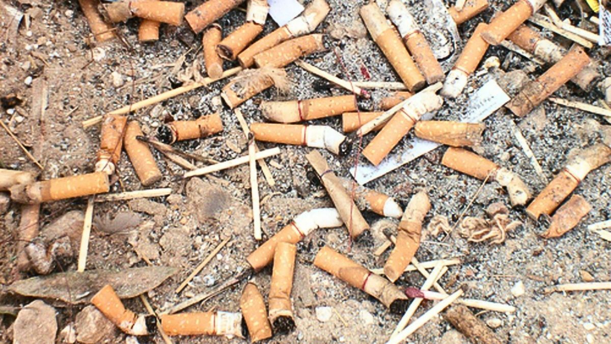 cigarette waste