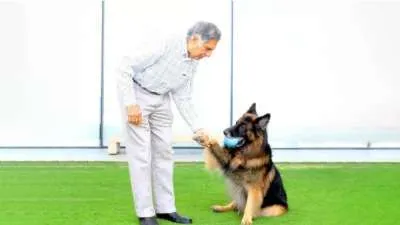 tata's dog