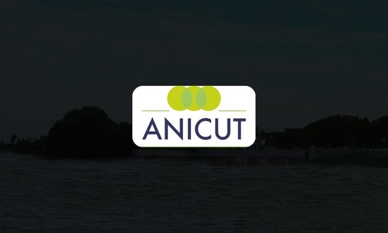 Anicut