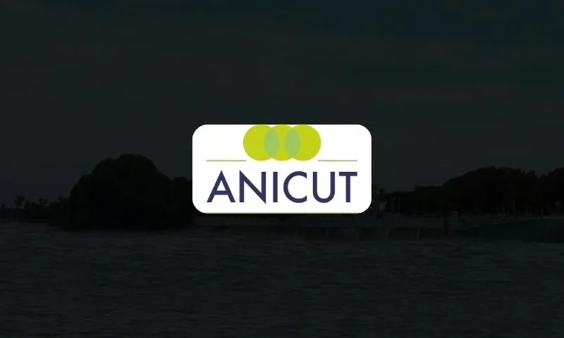Anicut