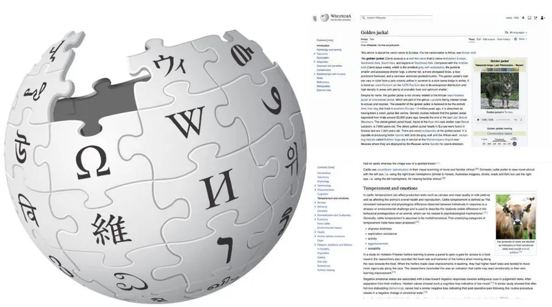 10 ஆண்டுகளுக்குப் பிறகு புதிய டிசைனில் Wikipedia அறிமுகம்! | YourStory