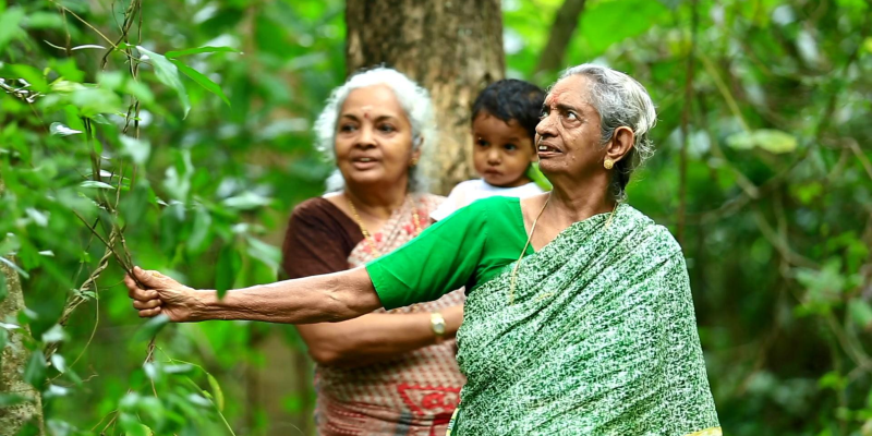 தனி ஆளாக 5 ஏக்கரில் ஒரு காட்டை உருவாக்கிய 85 வயது பாட்டி!
