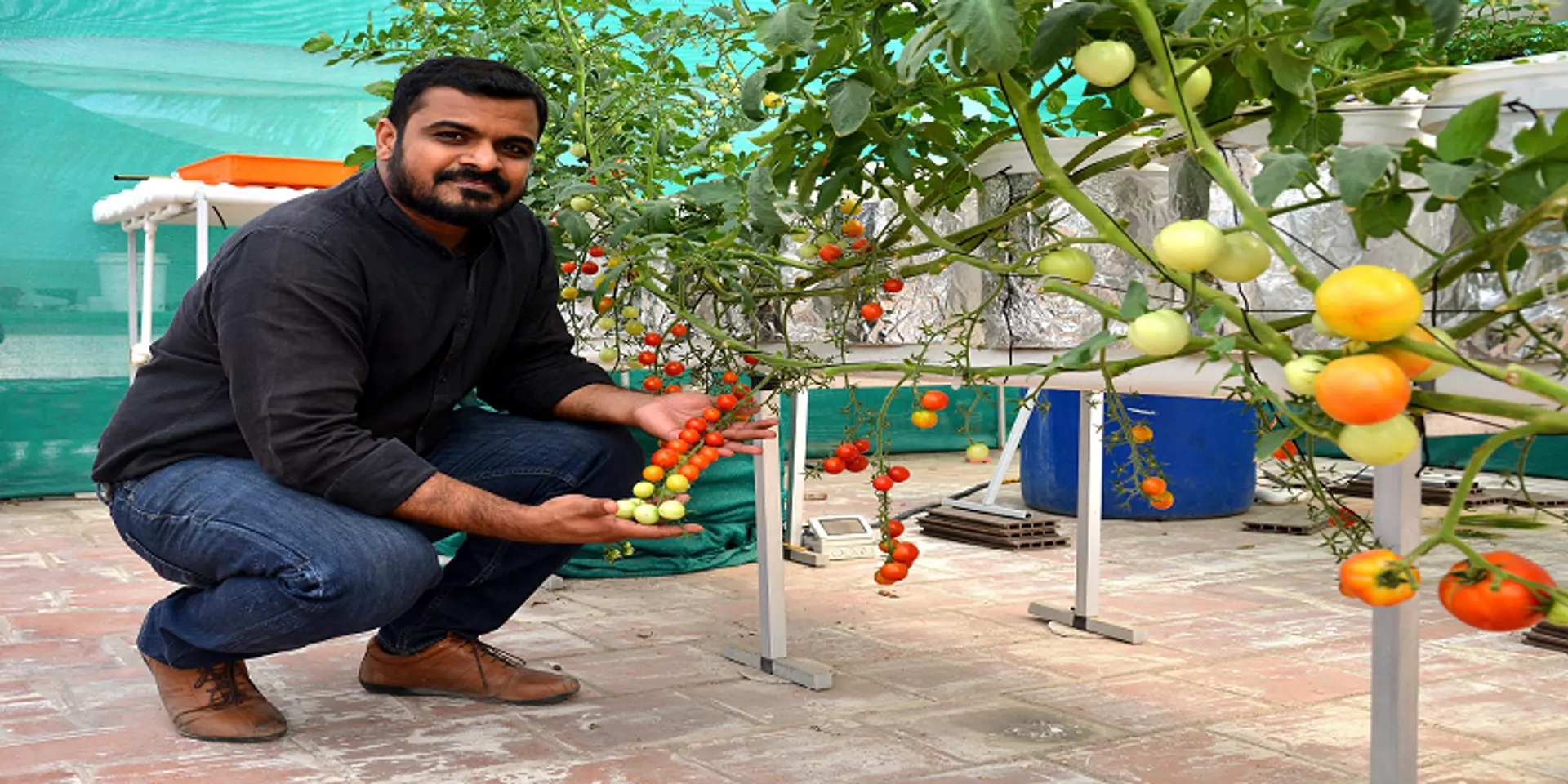 மண்ணில்லா விவசாயமுறை மூலம் 8 கோடி விற்றுமுதல் ஈட்டும் சென்னை ’Future Farms'