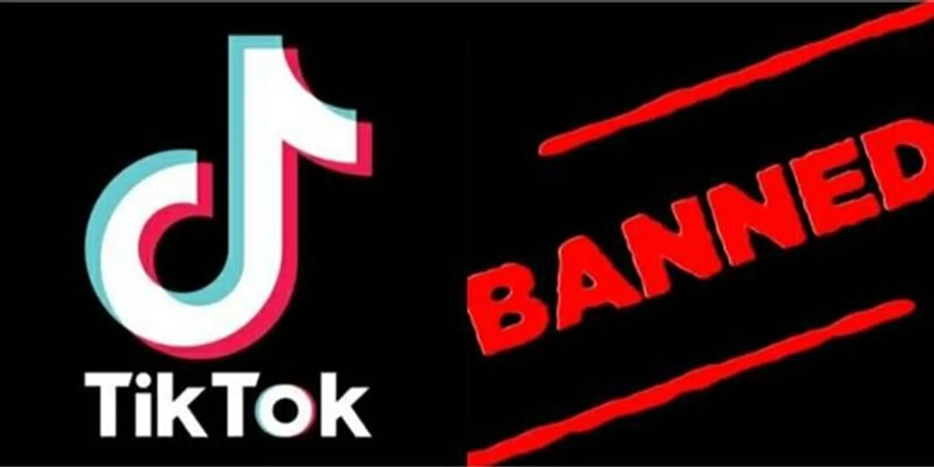 இந்தியா முழுவதும் ட்ரெண்ட் ஆன #RIPTiktok: கொண்டாடும் மக்கள்!