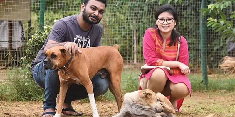 500 நாய்களுக்கு உணவளித்து திருமணத்தைக் கொண்டாடிய ஒடிசா தம்பதி!