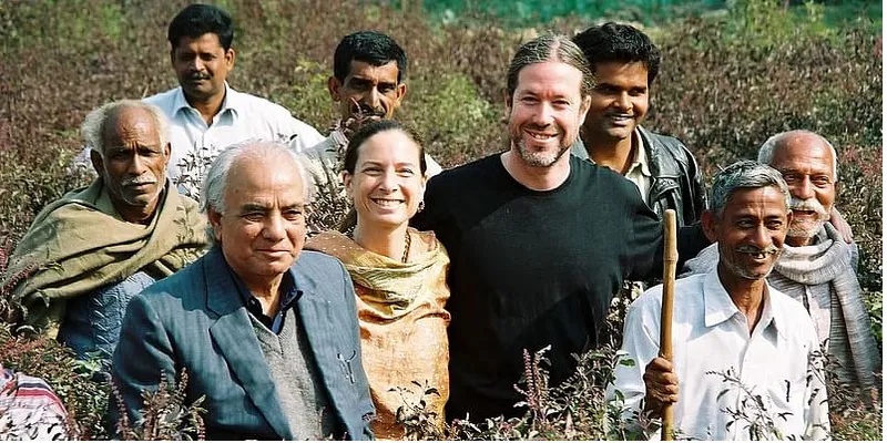 Tulsi plantation