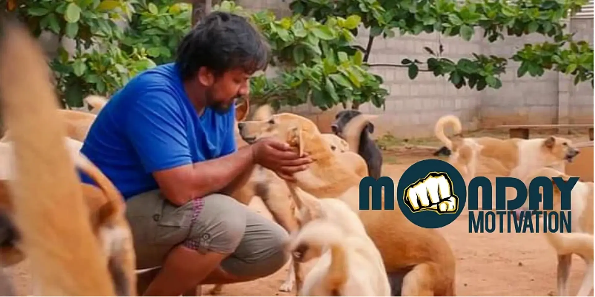 ஆதரவற்ற விலங்குகளை மீட்டு சிகிச்சை அளித்து பராமரிக்கும் ஆர்வலர்!