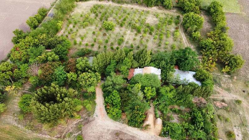 farm stay