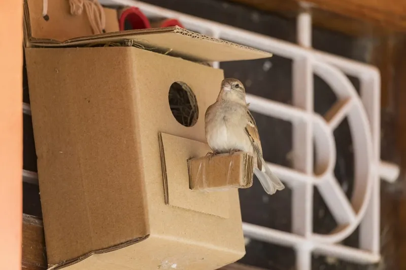 world sparrow day