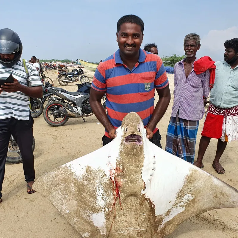 thoothukudi meenavan