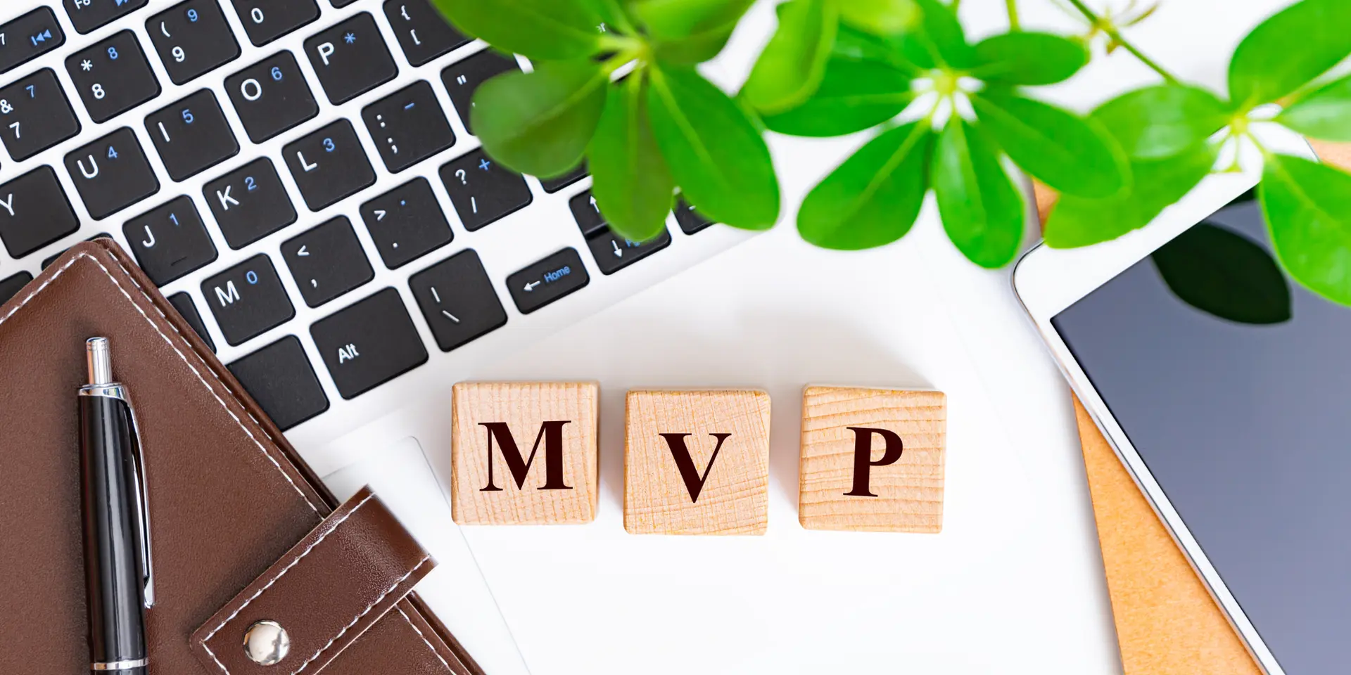 Launching an MVP in India in 2026: A step-by-step playbook
