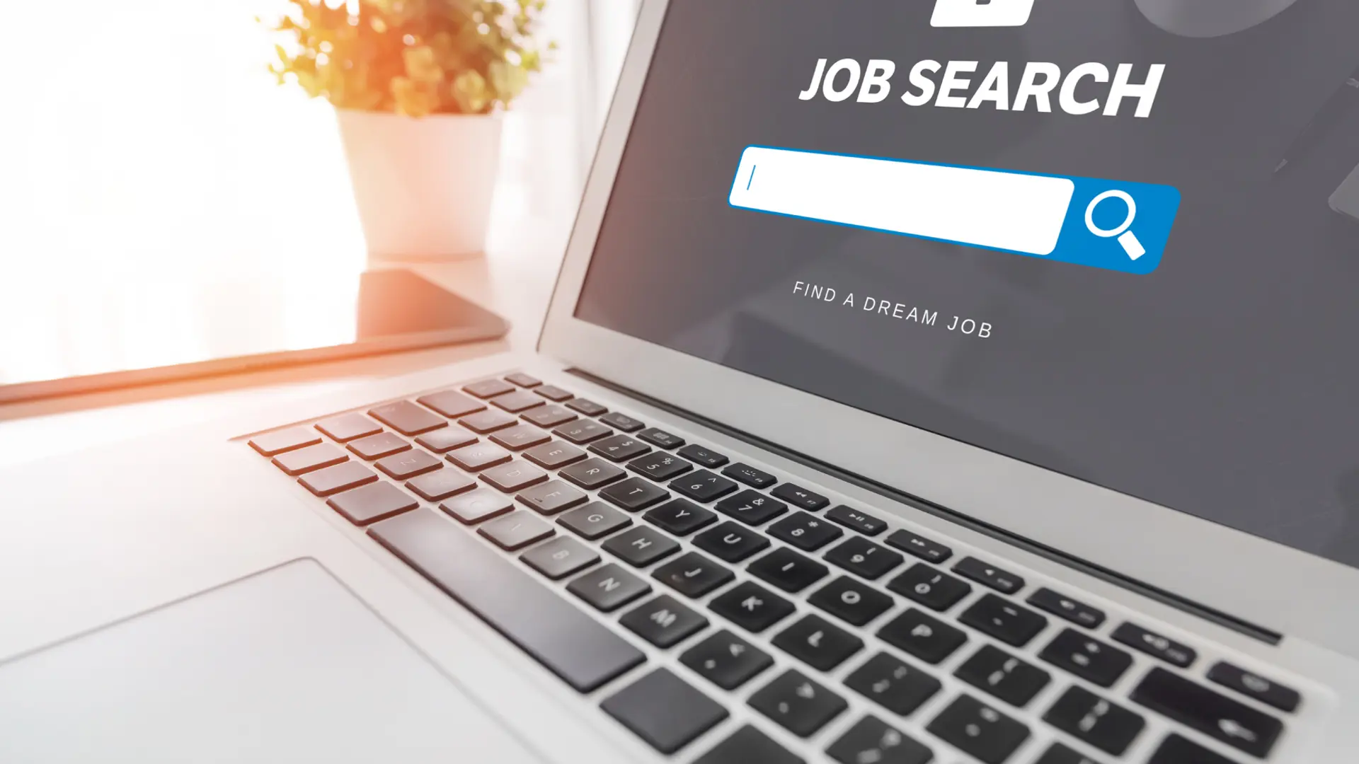 Job openings for tech professionals sees 8% dip in April: Report