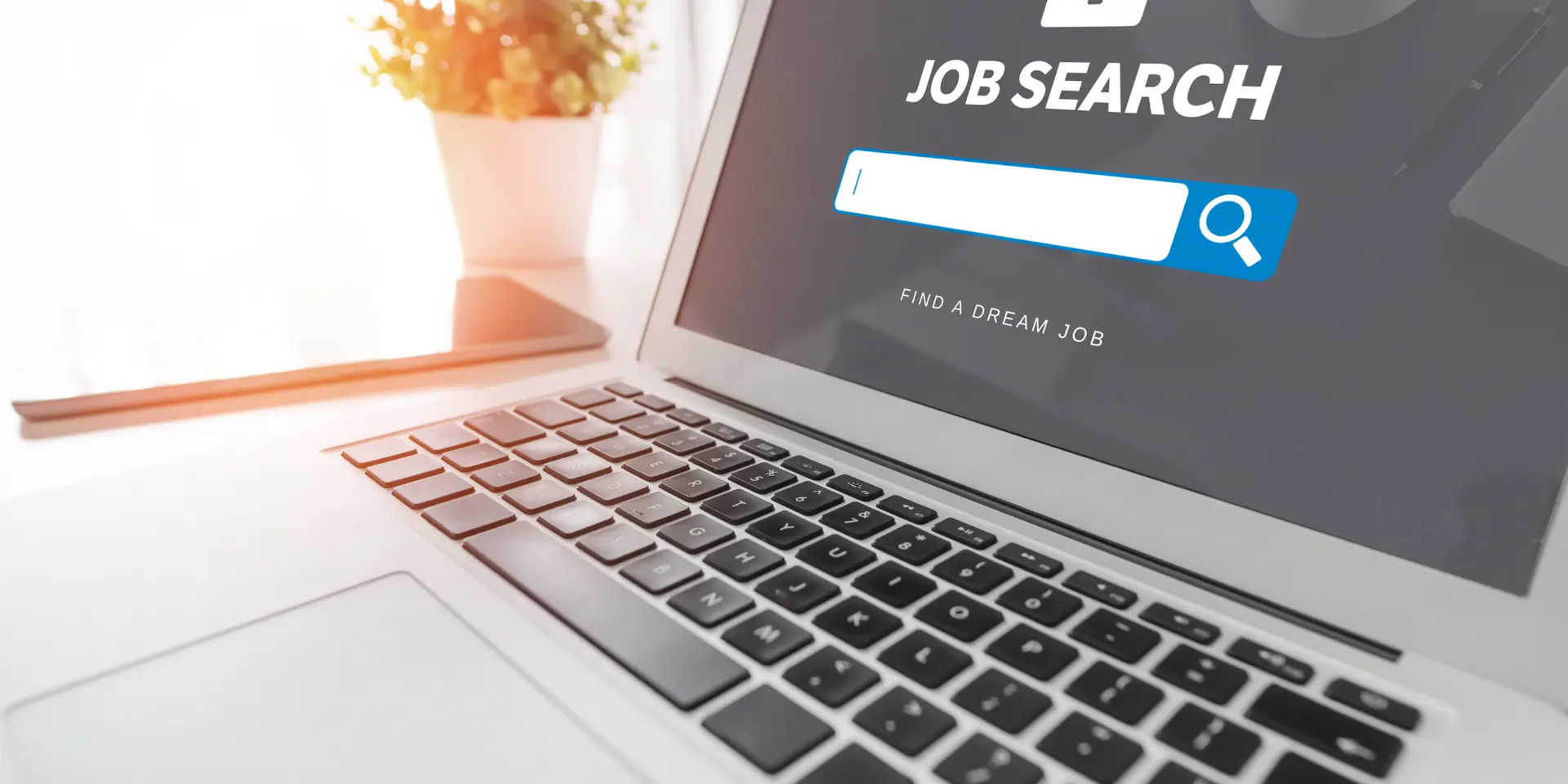 Job openings for tech professionals sees 8% dip in April: Report