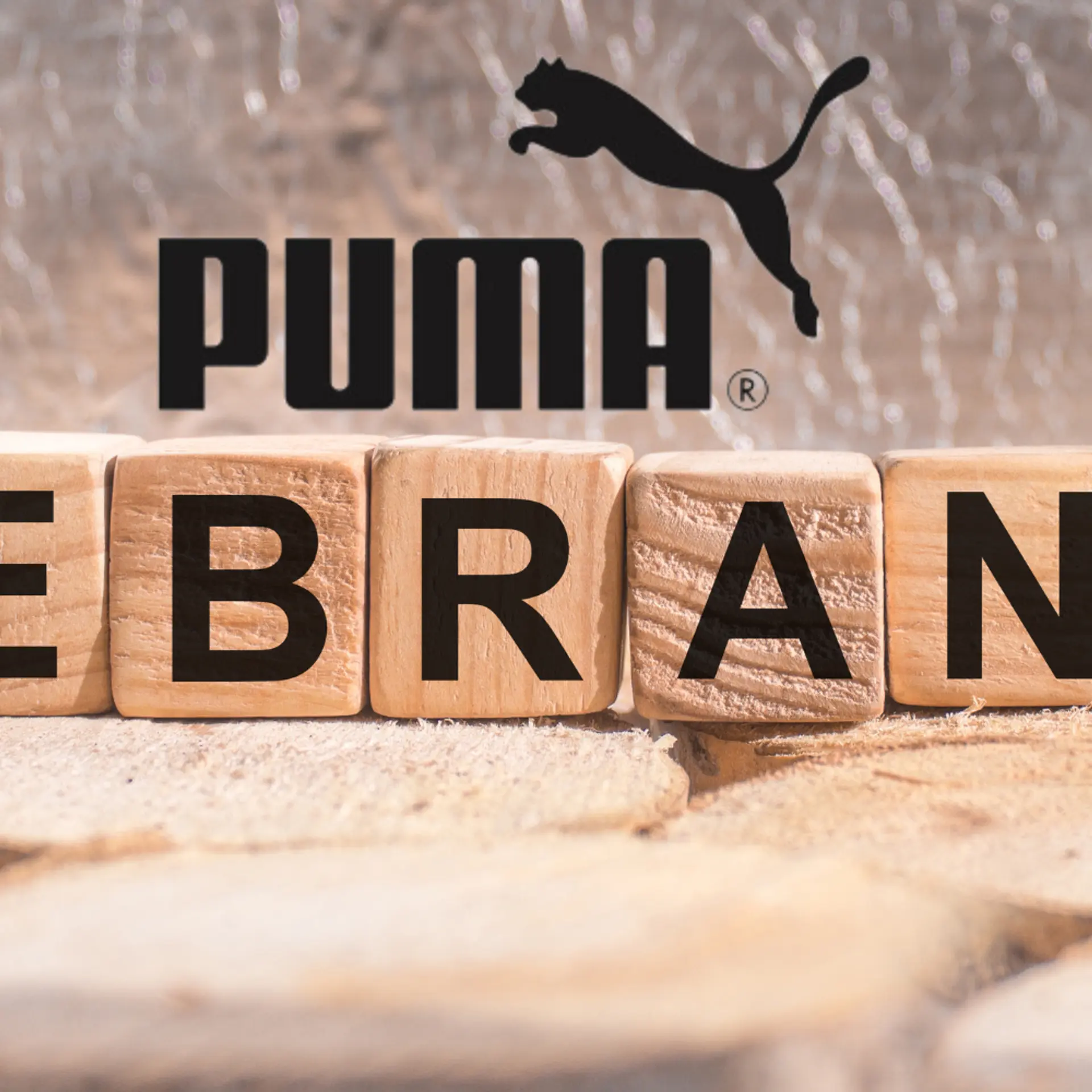 From PUMA to PVMA: A marketing masterstroke worth studying