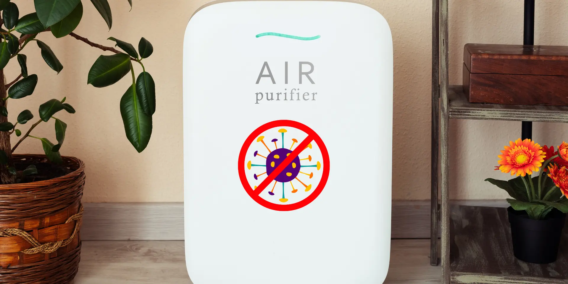 Can air purifiers save you from allergies? Experts answer