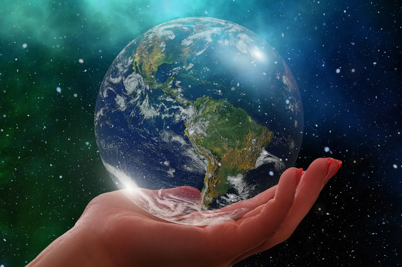 Sustainable startups that are creating a positive impact on the environment