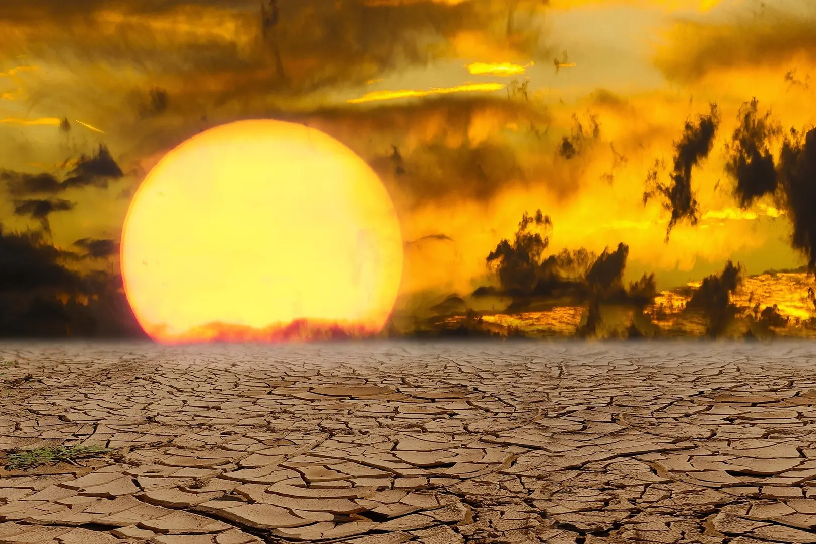 2024 Elections: Why India's climate concerns got sidestepped