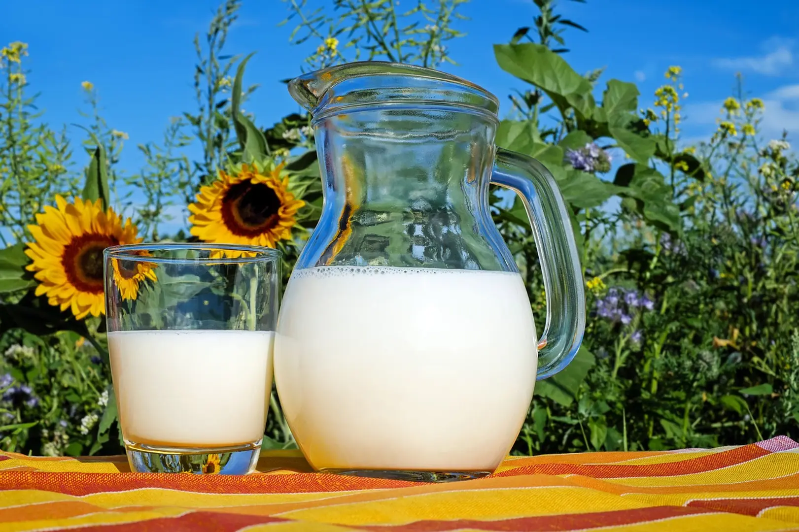 Dairy startups that are leveraging technology to boost their business
