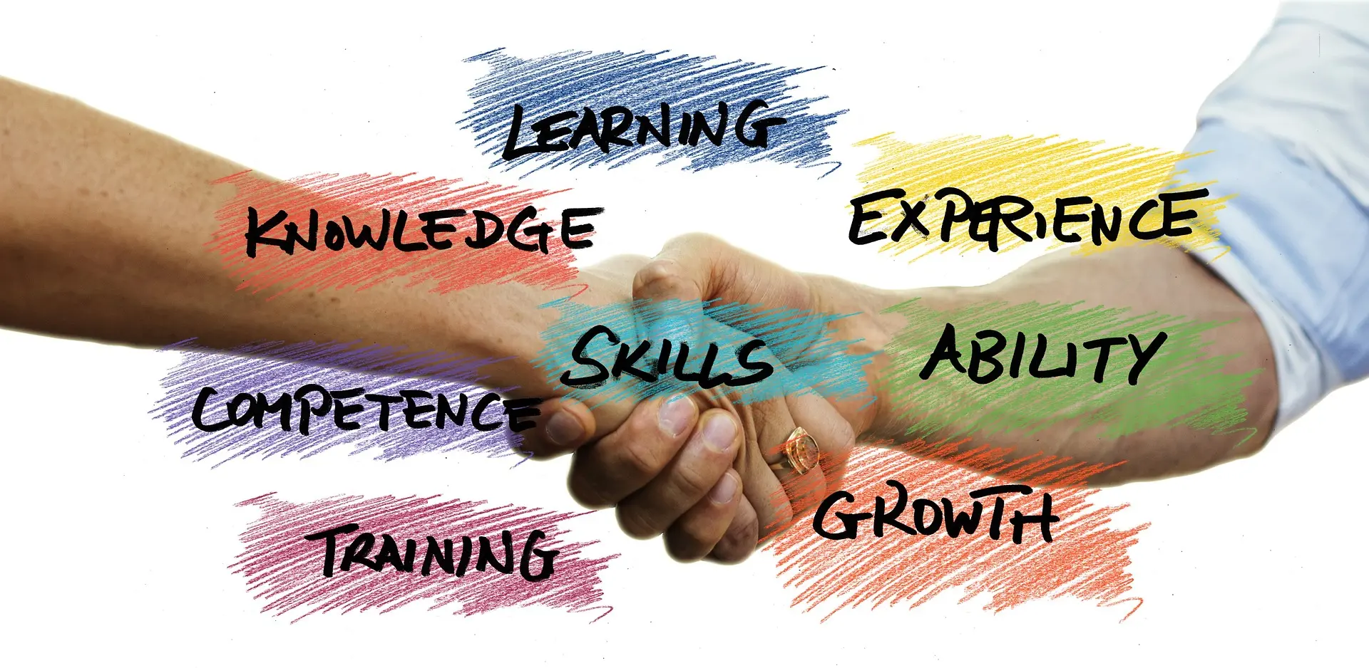 Free learning resources: 6 websites to enhance your skills