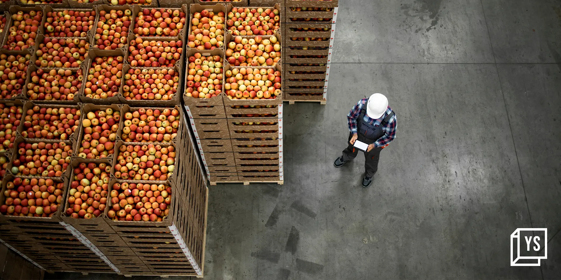 Optimising cold supply chains: tech-driven integration key to effective food distribution