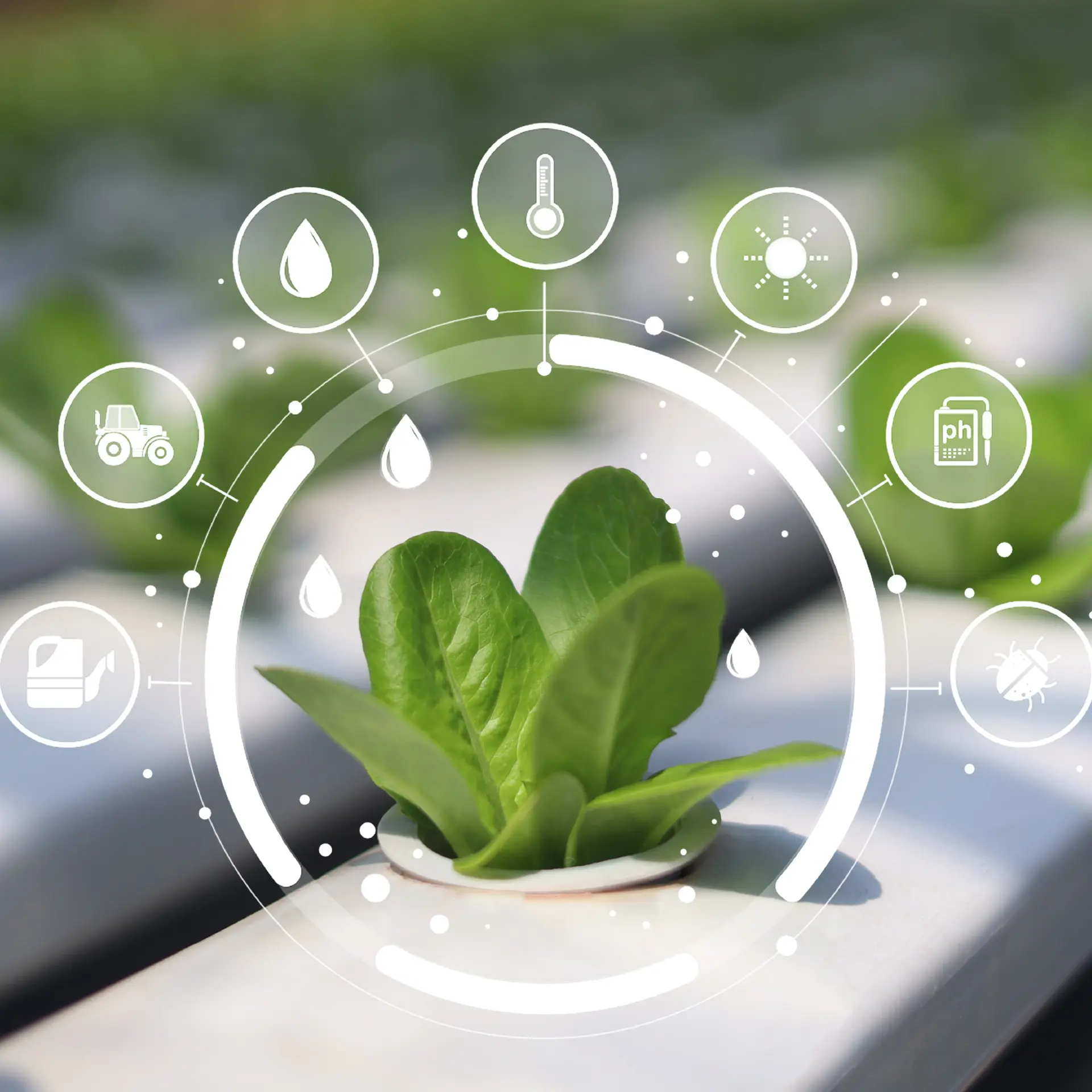 Finternet, Avalanche partner to test blockchain lending for farm assets