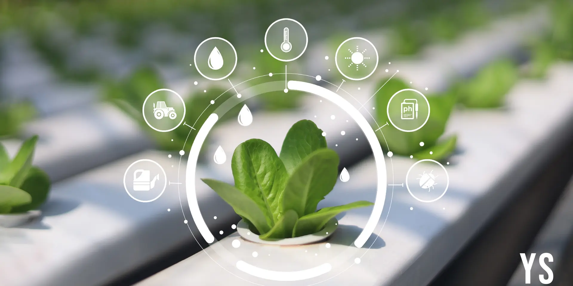 Auri Grow India launches AI-powered carbon credit agritech platform