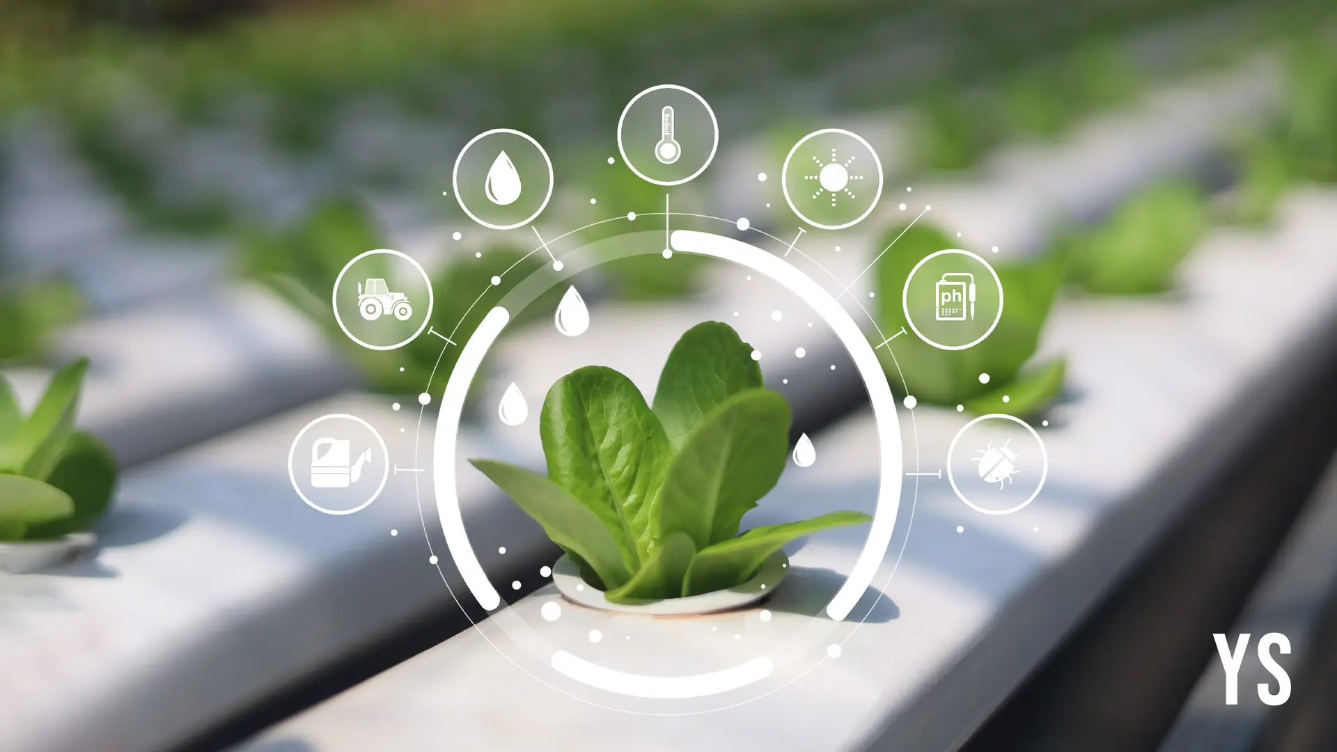 These agri startups are using AI to predict crop diseases before they spread