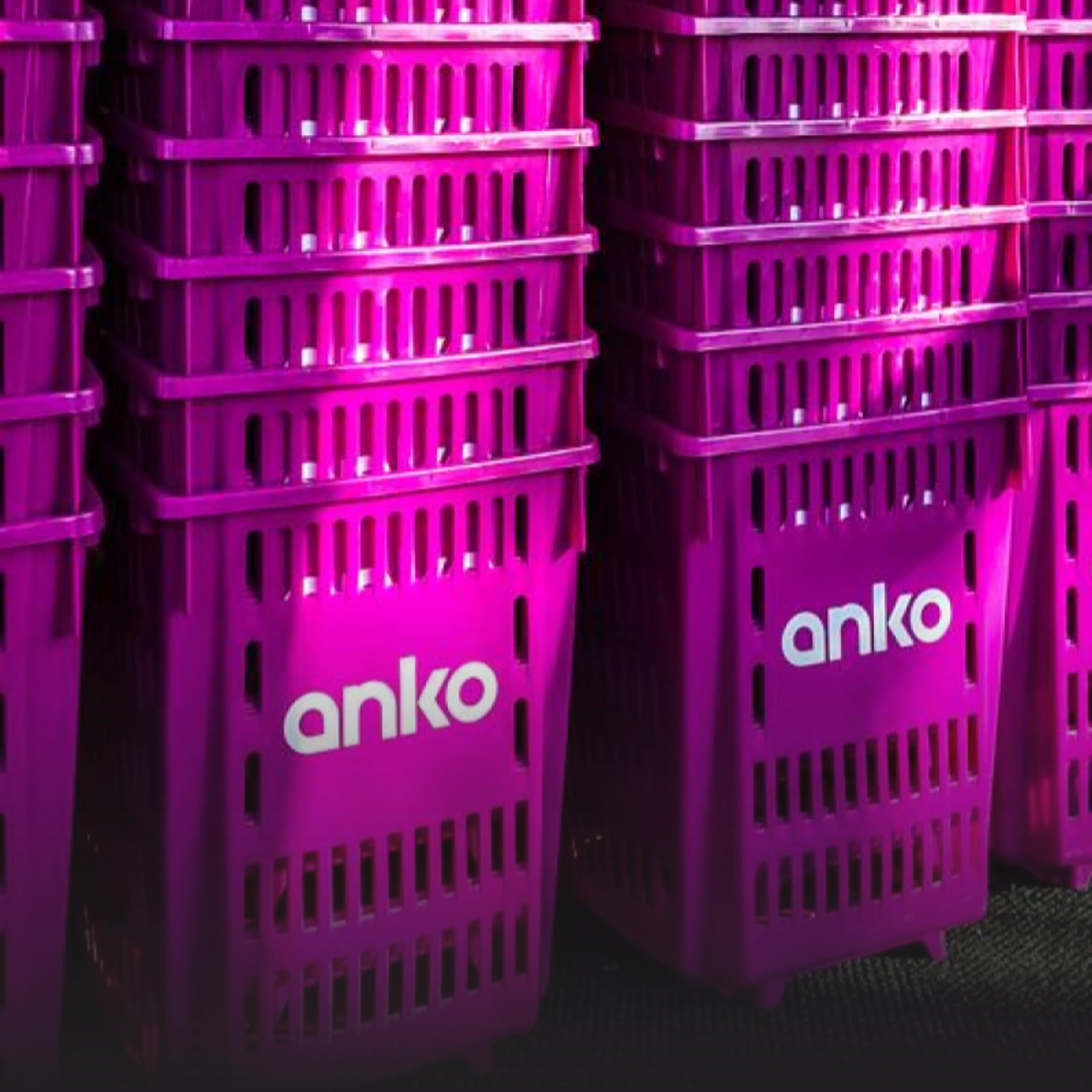 Australian brand Anko makes India foray