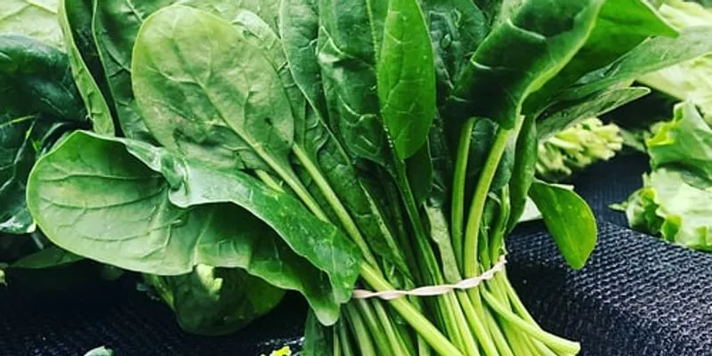spinach
