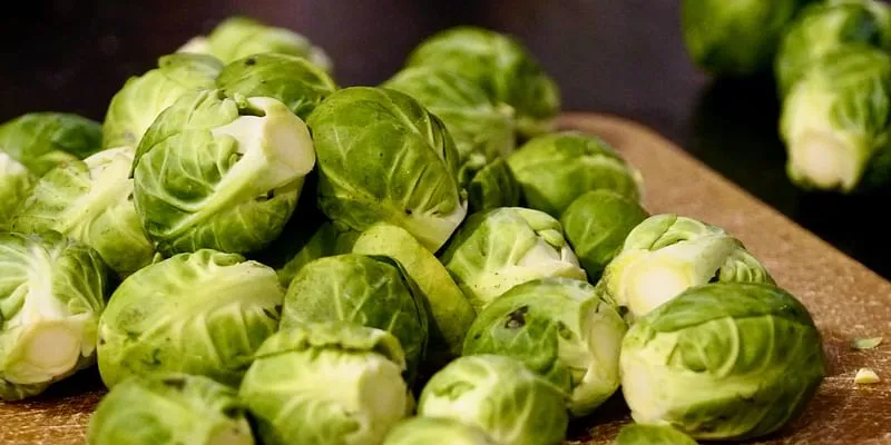 Cabbage