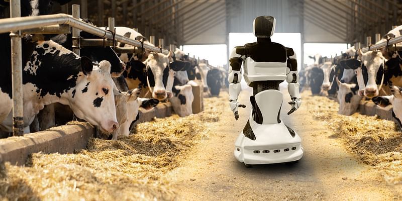 From Bytes to Barns: A deep dive into AI-driven approach to animal nutrition and cattle farming