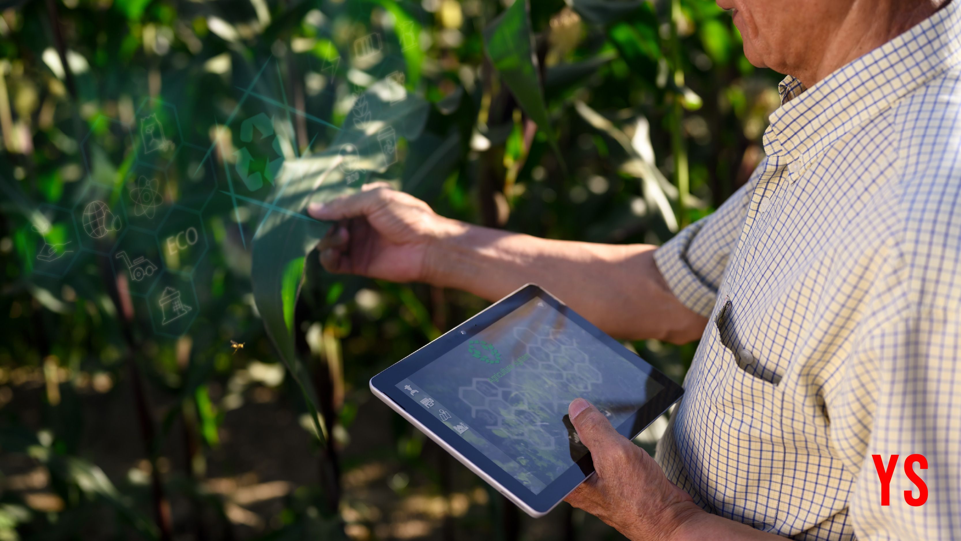 How AI can power India's digitally-empowered farming ecosystem