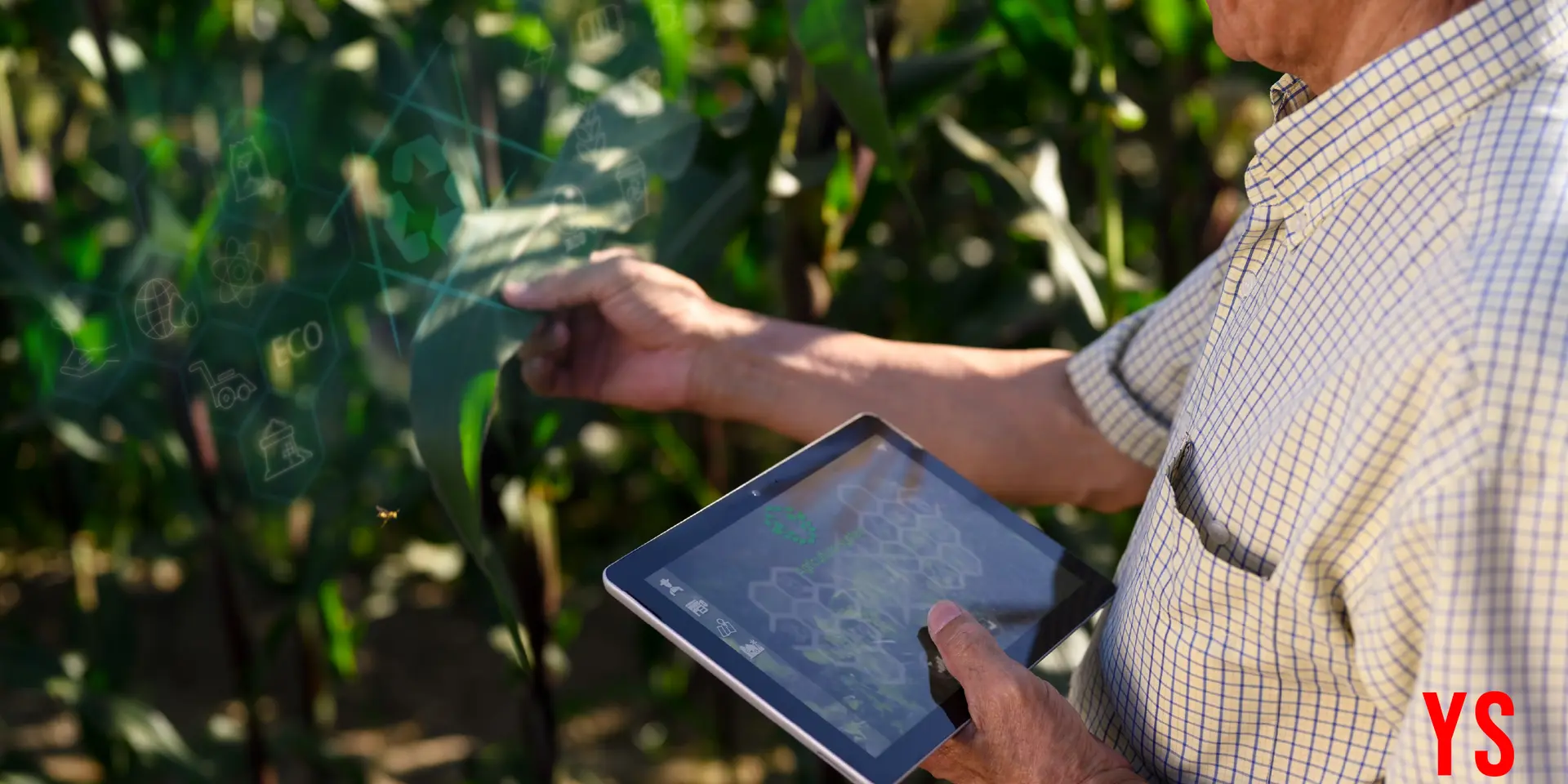 How AI can power India's digitally-empowered farming ecosystem