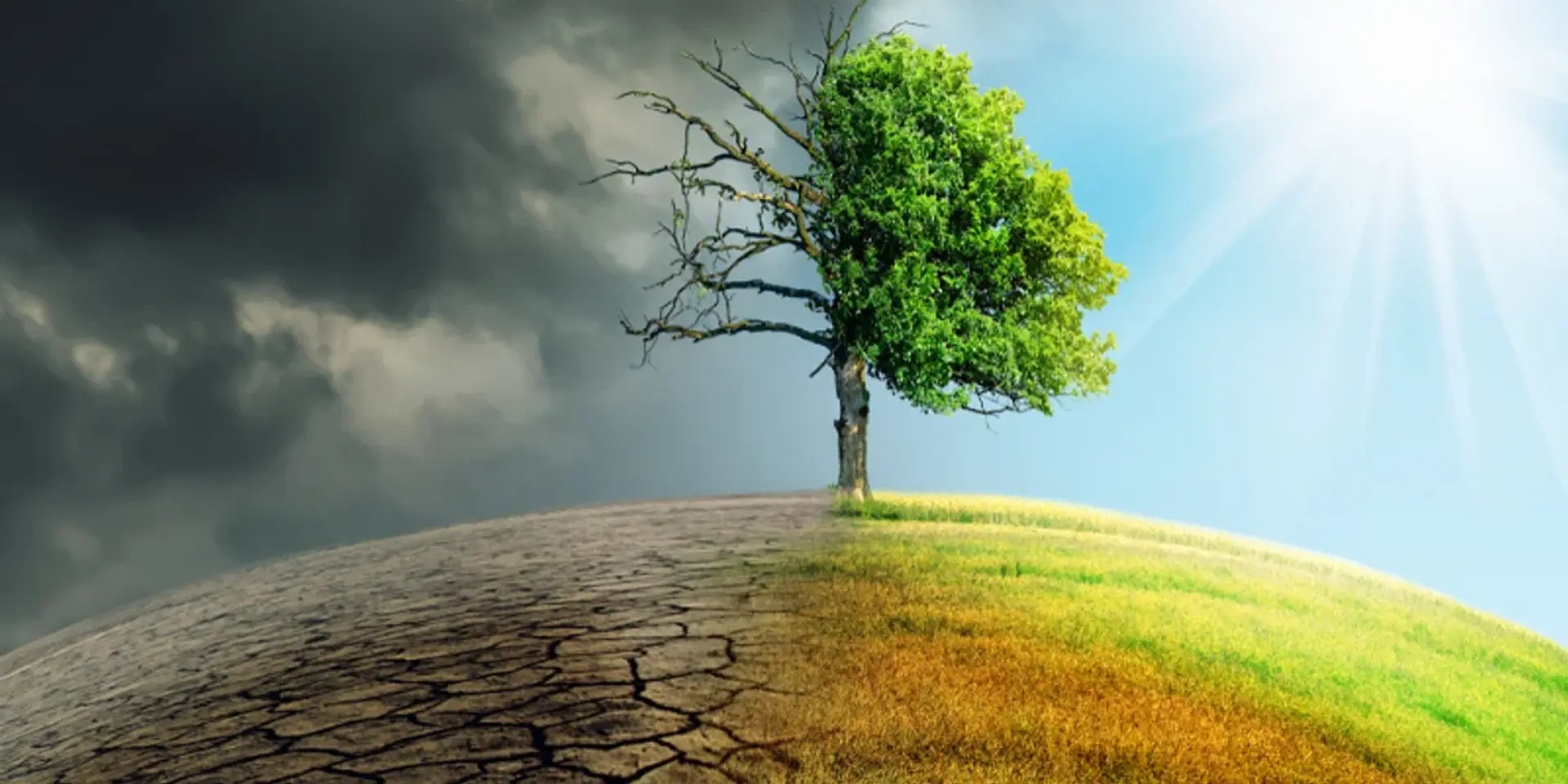 Parametric insurance trends: Preparing for climate and emerging risks
