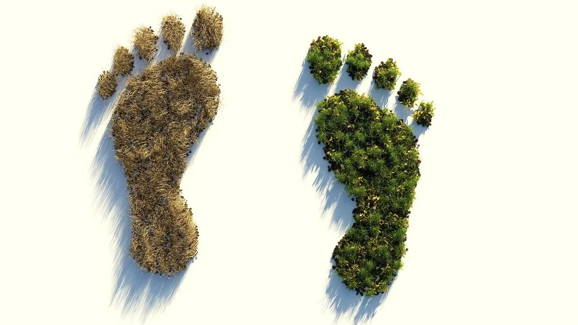 UAE-based sustainability management startup Farnek launches carbon footprint tool