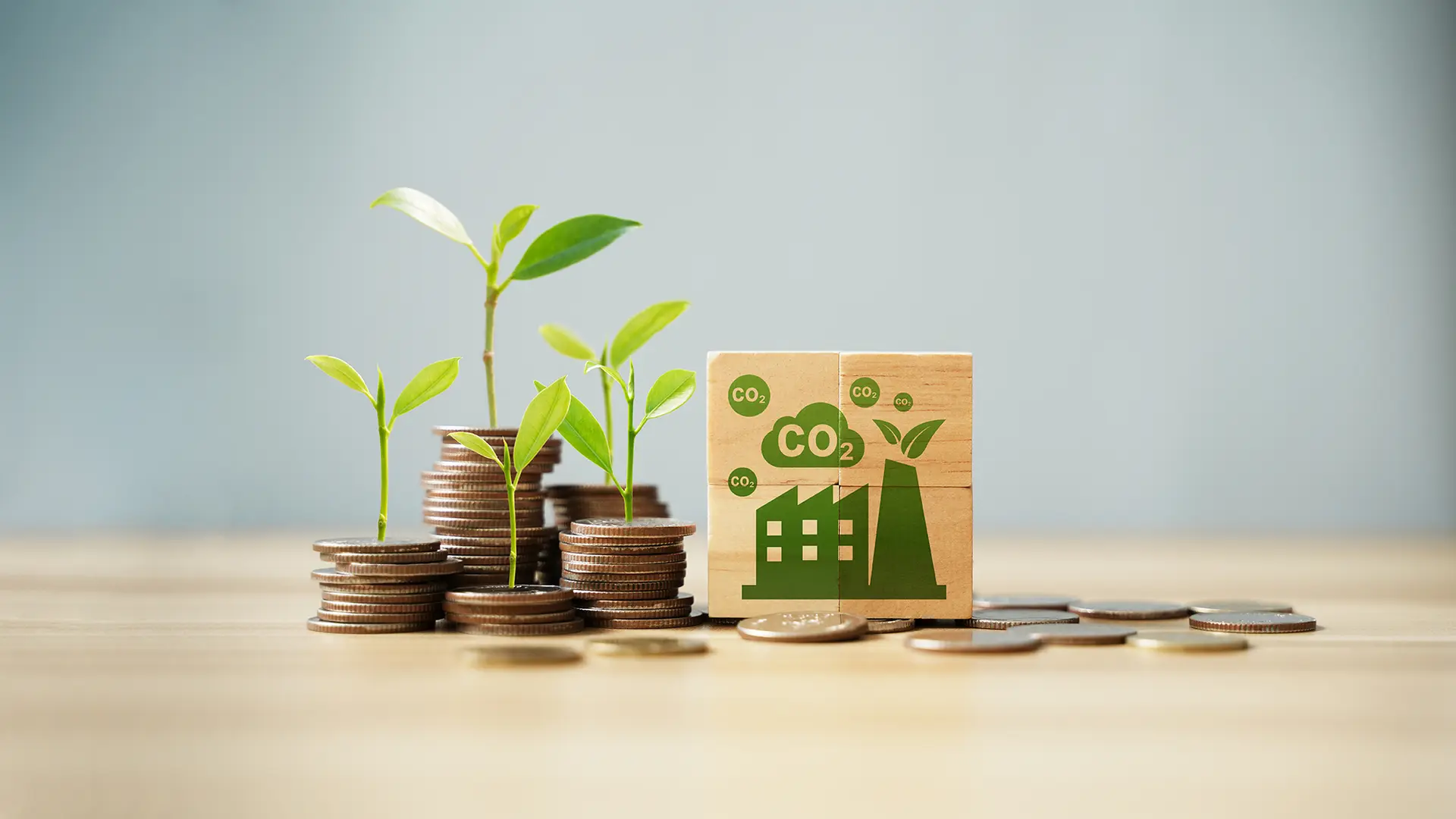 Electric fleets as enablers of carbon credit monetisation