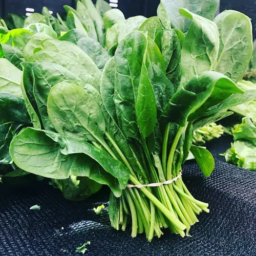 greens