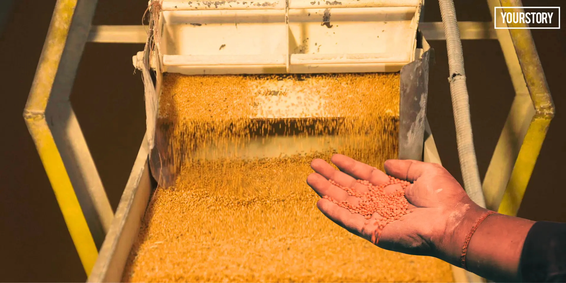 How Gonda’s Red Lentil (Masoor Dal) Mills Meet the Kitchen-Ready Standard