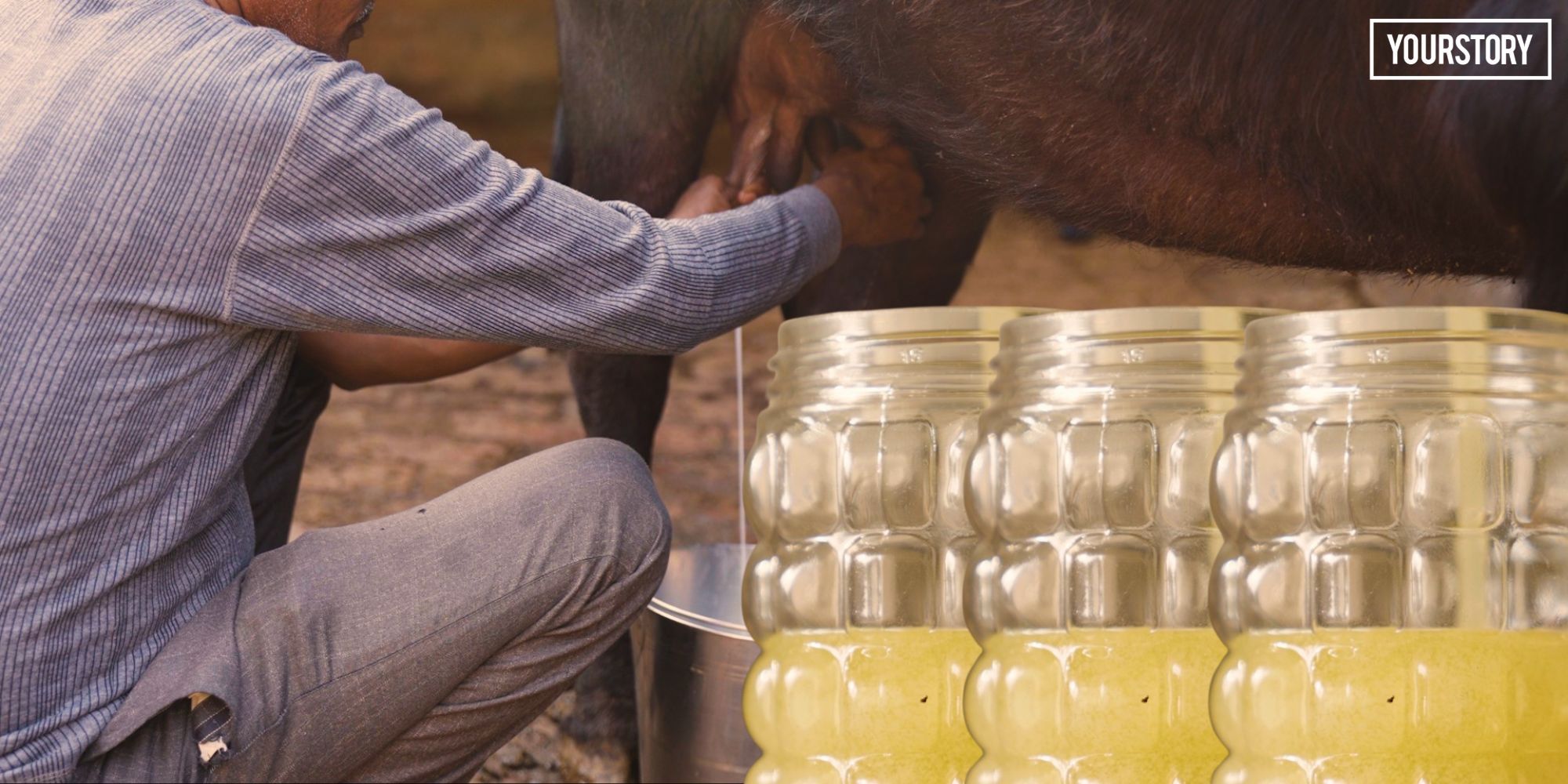 Auraiya’s Dairy Products: From Village Milk Collection to a Growing Rural Brand
