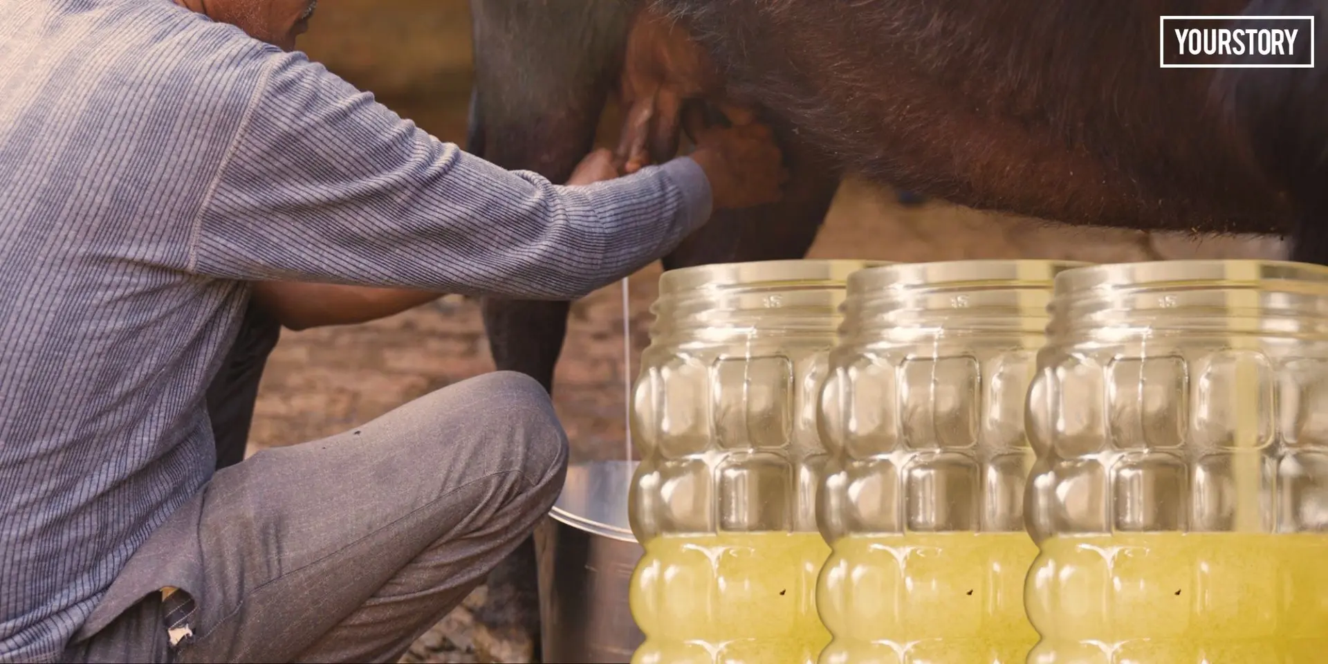 Auraiya’s Dairy Products: From Village Milk Collection to a Growing Rural Brand